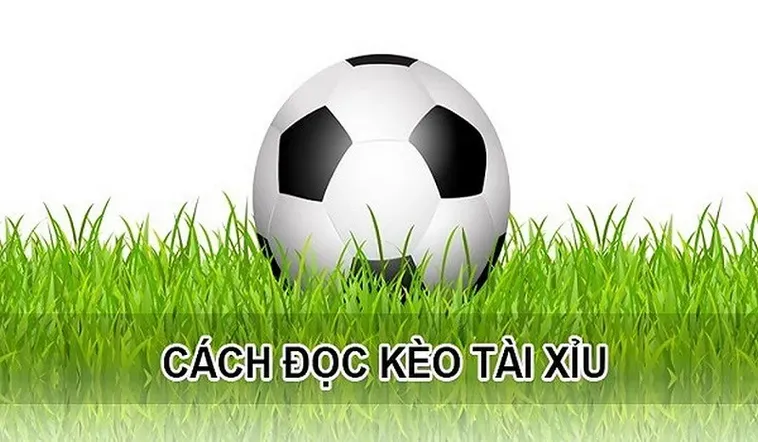Bí Quyết Chiến Thắng Kèo Tài Xỉu Trong Cá Cược Bóng Đá Đỉnh Cao