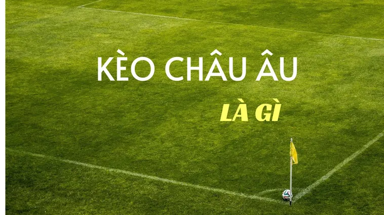 Bí Quyết Soi Kèo Châu Âu Hiệu Quả Nhất Cho Nhà Đầu Tư Thông Thái