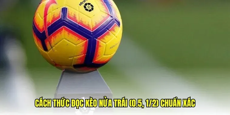 Bí Quyết Chinh Phục Kèo Chấp 0.5 Và Chiến Thuật Thắng Đậm Cho Người Chơi