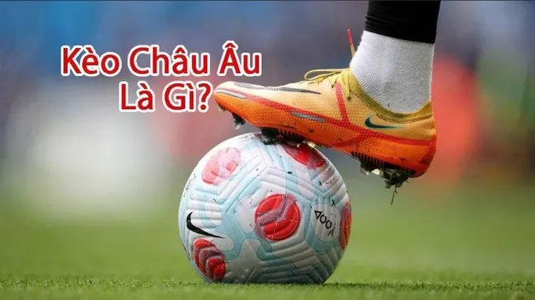 Bí Quyết Soi Kèo Châu Âu Hiệu Quả Nhất Cho Nhà Đầu Tư Thông Thái