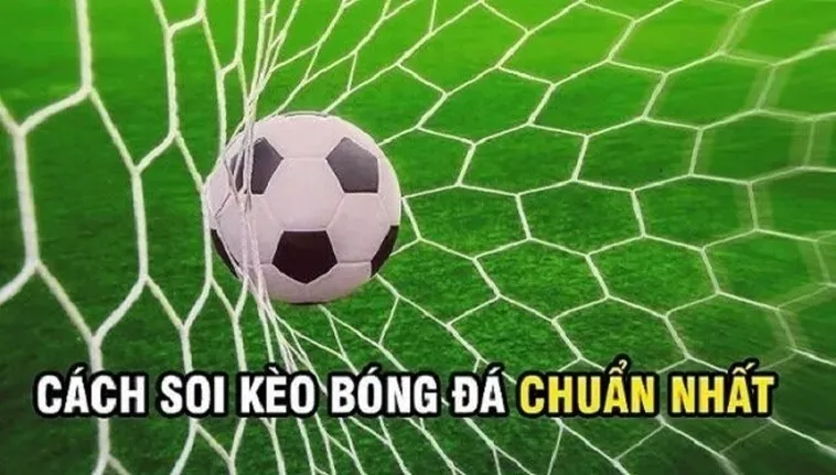 Bí Quyết Chinh Phục Kèo Rung Trong Bóng Đá Để Luôn Dành Chiến Thắng